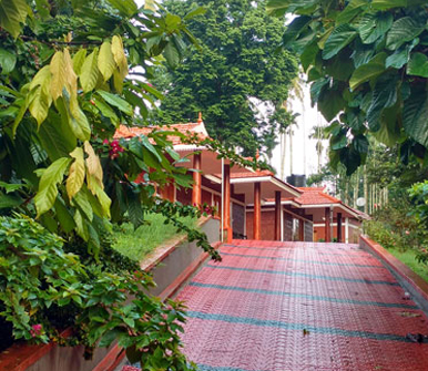 best budget resorts in wayanad